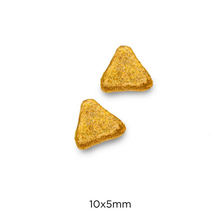 Optima Nova Cat Light