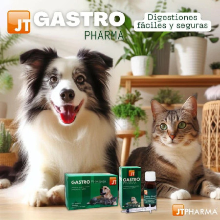JT Pharma Gastro Solução oral