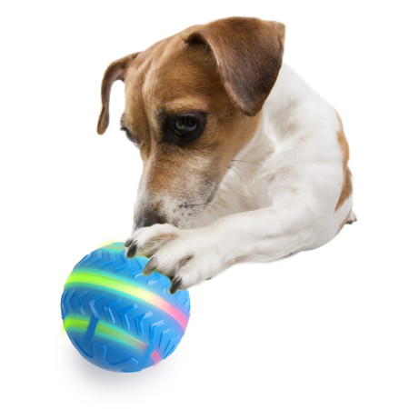 AFP Bola para cão activada por movimento