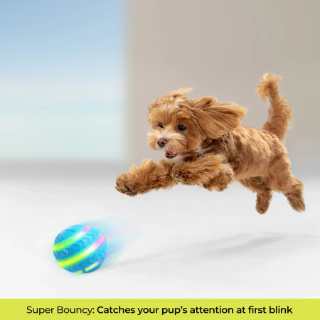 AFP Bola para cão activada por movimento