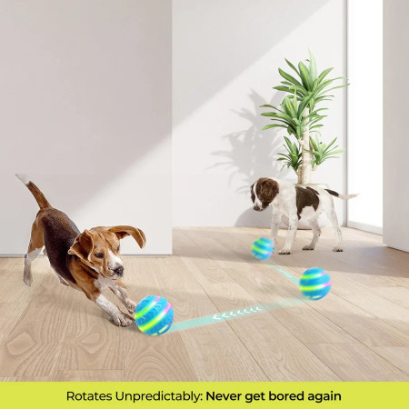 AFP Bola para cão activada por movimento