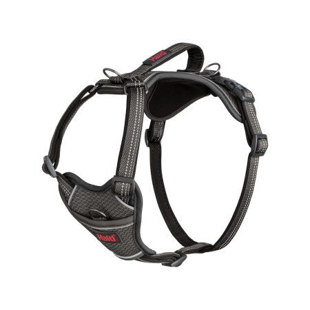 Halti Peitoral Anatomy Cinzento