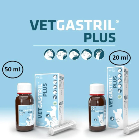 Vetgastril Plus Protetor gástrico para cães e gatos
