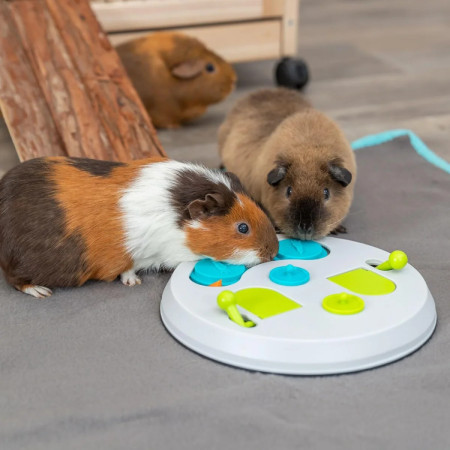 Trixie Jogo Flip Board para roedores