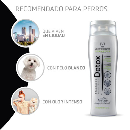 Artero Champô Detox