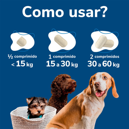 Movejoint Suporte Articular