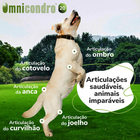 HiFarmaX Omnicondro 20 mg - Saiba tudo aqui