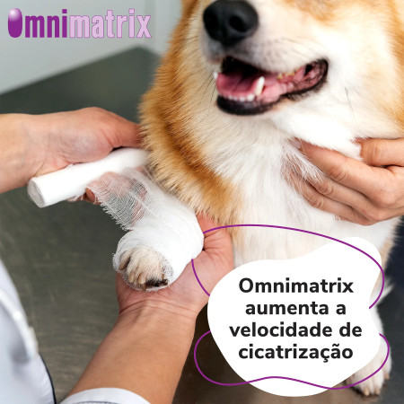 HiFarmaX Omnimatrix pomada cicatrizante - Saiba tudo aqui