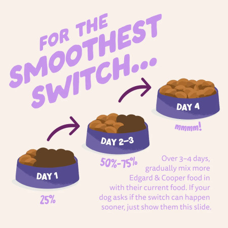 Edgard & Cooper Pato Adult Dog Regular