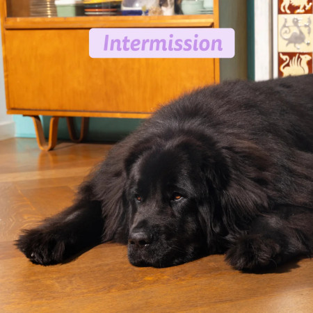 Edgard & Cooper Pato Adult Dog Regular