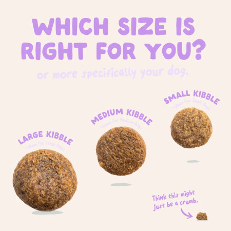 Edgard & Cooper Pato Adult Dog Regular