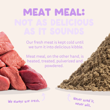 Edgard & Cooper Pato Adult Dog Regular