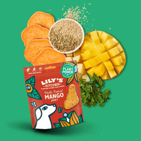 Lily's Kitchen Dog Snacks Mango Jerky