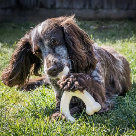 Nylabone Extreme Wishbone Osso de Galinha