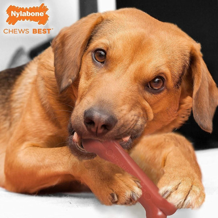Nylabone Extreme Bone Osso de bacon