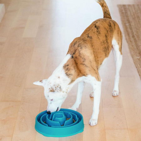 Outward Hound Comedouro Fun Feeder Drop