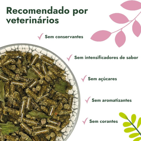 Bunny Alimento GuineaPigDream Basic