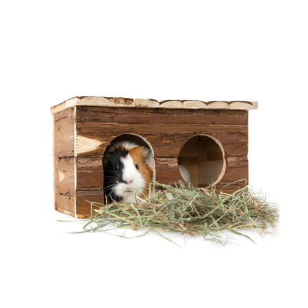 Casa de madeira para porquinho da índia