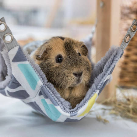 Trixie Abrigo com hammock Sunny para roedores