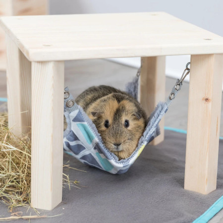 Trixie Abrigo com hammock Sunny para roedores