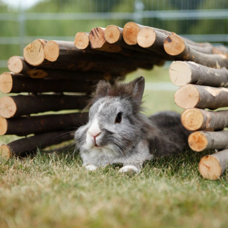 Trixie Ponte de troncos para roedores