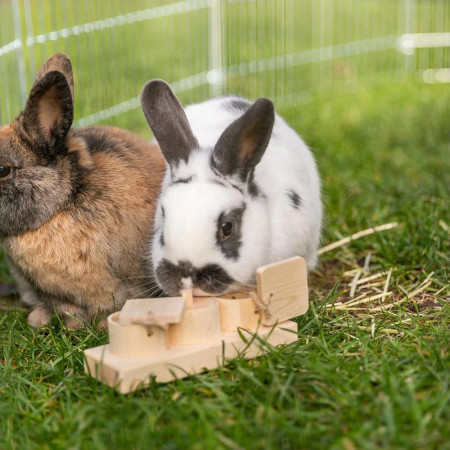 Trixie Puzzle Snack Cups em madeira para coelhos e porquinhos