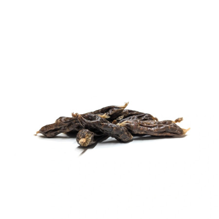 Loja do Cão Mini Salsicha de Vaca