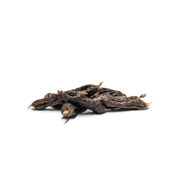 Loja do Cão Mini Salsicha de Vaca