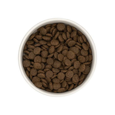 Loja do Cão Grain Free Borrego com Batata Doce e Menta