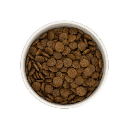 Loja do Cão Grain Free Veado com Batata Doce e Amoras