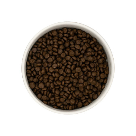 Loja do Cão Grain Free Small Breed Galinha, Batata Doce & Ervas