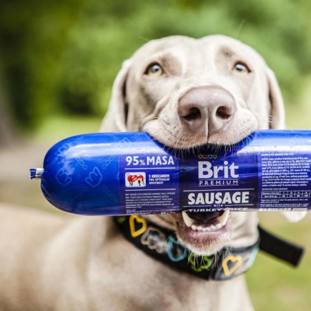 Brit Premium Salsicha Galinha e Veado