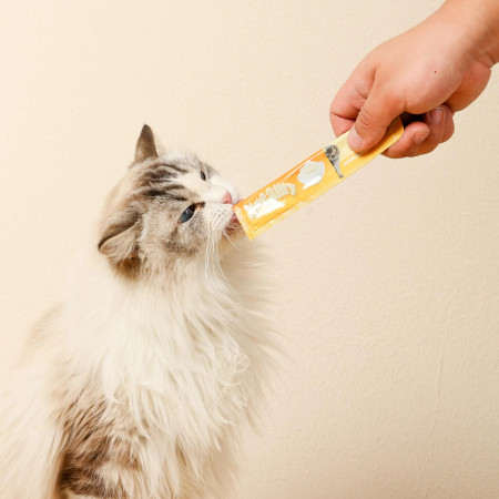 M-Pets Creamy Cat Treat Chicken