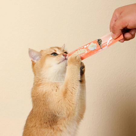 M-Pets Creamy Cat Treat Salmon