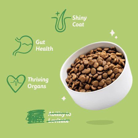 Edgard & Cooper Fresh Lamb Adult Small Dog