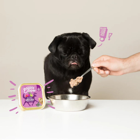 Edgard & Cooper Terrina Delicious Game & Duck