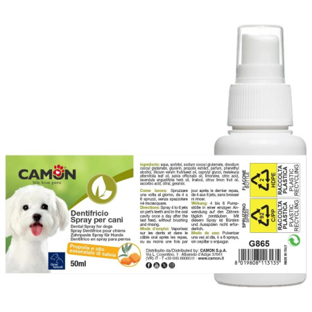 Camon Spray Dentífrico