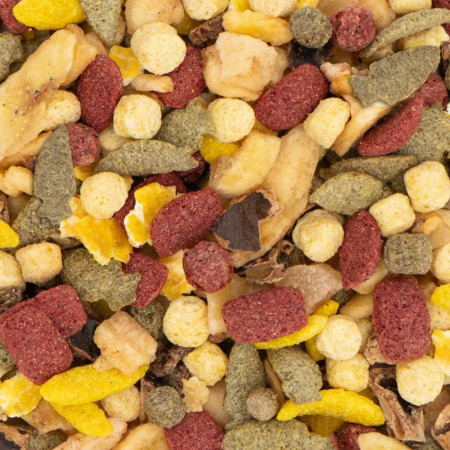 JR Farm Salada de frutas