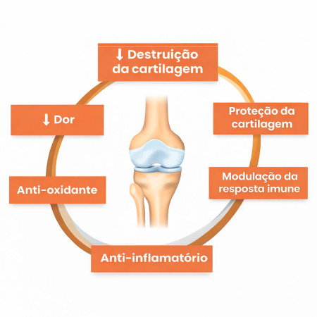Glojoint Articular Cães pequenos e gatos
