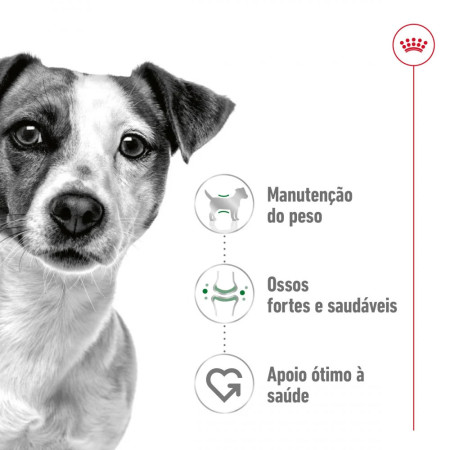 Royal Canin Seca Mini Adult