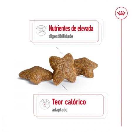 Royal Canin Seca Mini Adult