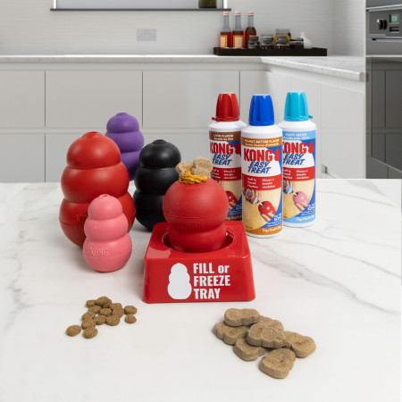 Kong Fill or Freeze Tray individual