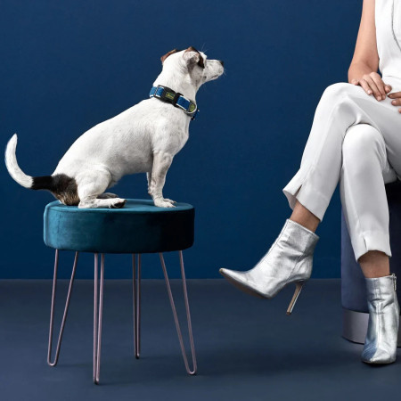 Hunter Coleira Hilo azul