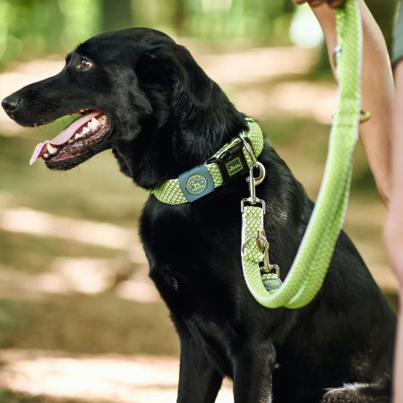 Hunter Trela Multi Funções Hilo lima