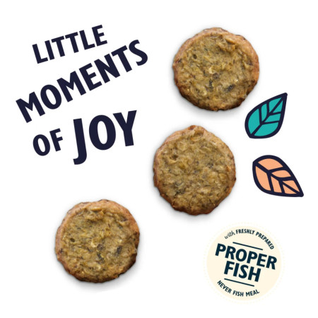 Lily's Kitchen Salmon Fishcakes with White Fish