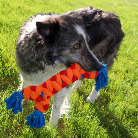 Kong corda Rally Bone