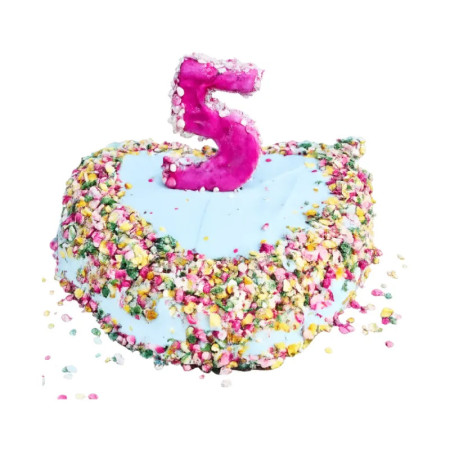 Cooka's Cookies Bolo Aniversário para caõ em forma de coração