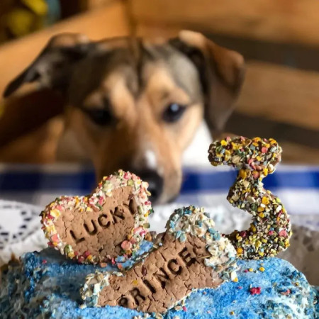 Cooka's Cookies Bolo Aniversário para caõ em forma de coração