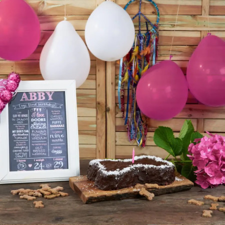 Cooka's Cookies Bolo Aniversário para cão em forma de osso