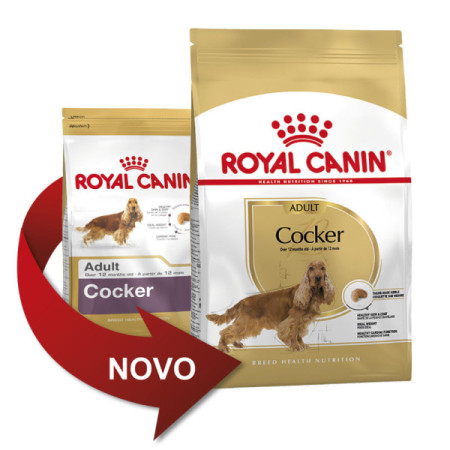 Royal Canin Seca Cocker Adulto